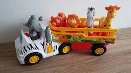 Image de la catégorie Safari