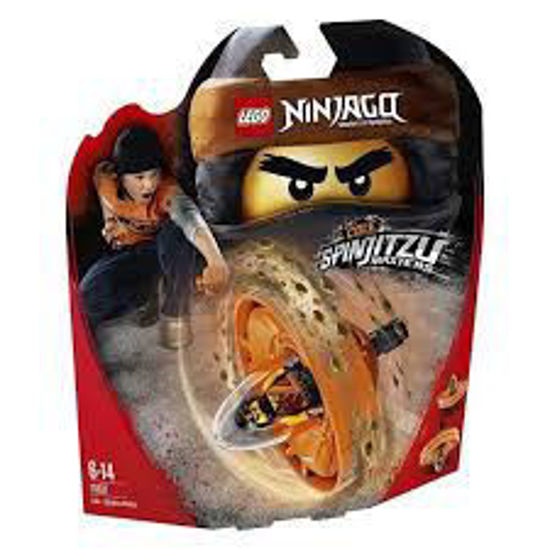 Image de COLE-MAITRE DU SPINJITZU