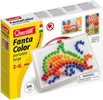 Image de FC PORTABLE LARGE 0953