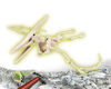 Image de ARCHEO LUDIC PTERANODON