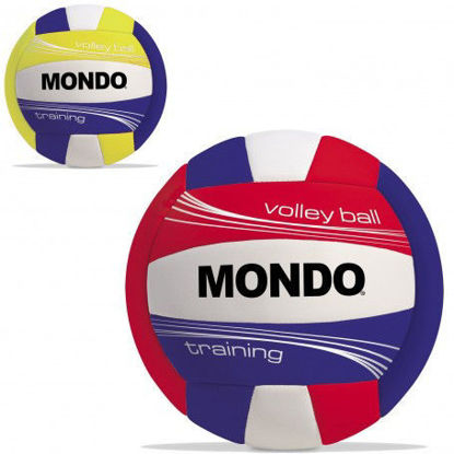 Image de Ballon volley ball 13135