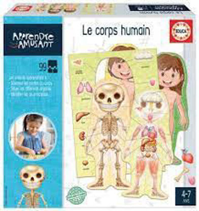 Image de LE CORP HUMAIN 18831