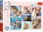 Image de PUZZLES IN THE CAT WORLD 16420
