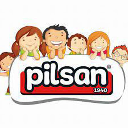 Image du fabricant Pilsan