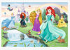 Image de PUZZLES 60 MEET THE PRINCESSES 17361