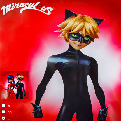 Image de Déguisement Chat Noir