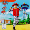 Image de Deguisement Paw patrol (MARCUS)