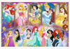 Image de PUZZLES 160 PRINCESSES PORTIRAITS 15407