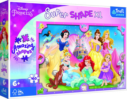 Image de Puzzles 160 XL THE WORLD OF PRINCESSE 50025
