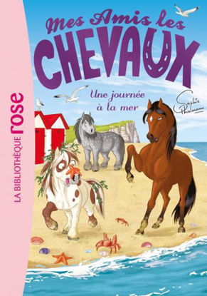Image de MES AMIS CHEVAUX 14 - JOURNEE A MER