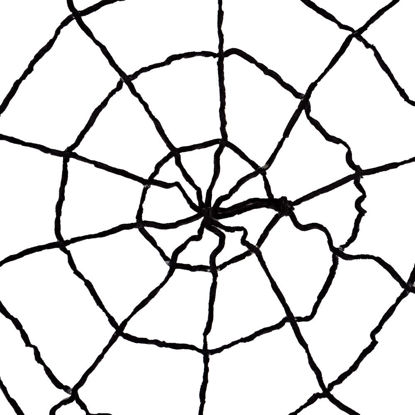 Image de Toile areigner