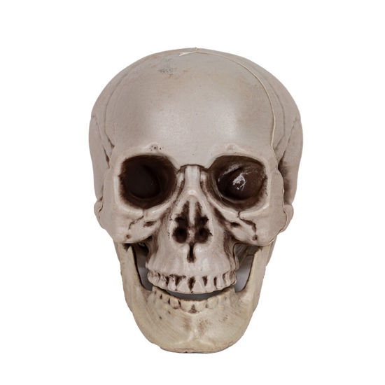 Image de TETE DE MORT POUR HALLOWEEN