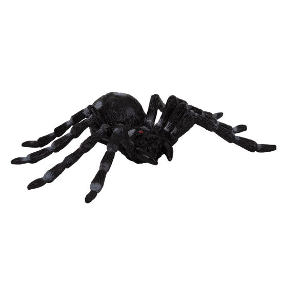 Image de HALLOWEEN ITEMS