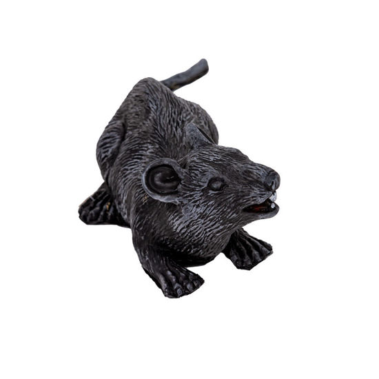 Image de HALLOWEEN ITEMS
