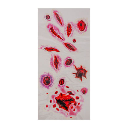 Image de HALLOWEEN ITEMS