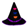 Image de DEGUISEMENT SORCIERE