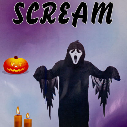 Image de Déguisement  Scream