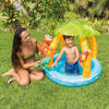 Image de PATAUGETTE TROPICALE