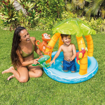 Image de PATAUGETTE TROPICALE