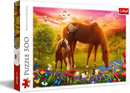 Image de PUZZLES 500 HORSES IN THE MEADOWW 37451