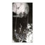Image de accessoire halloween