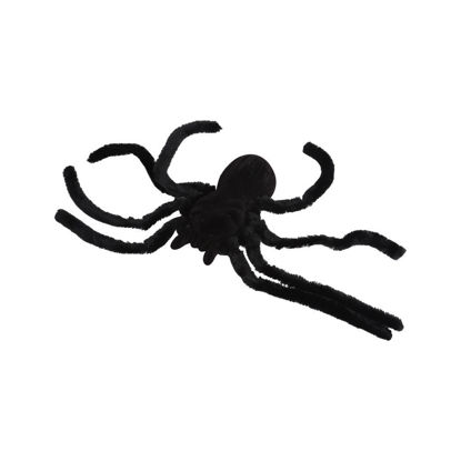 Image de accessoire halloween