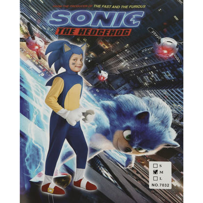 Image de DEGUISEMENT SONIC