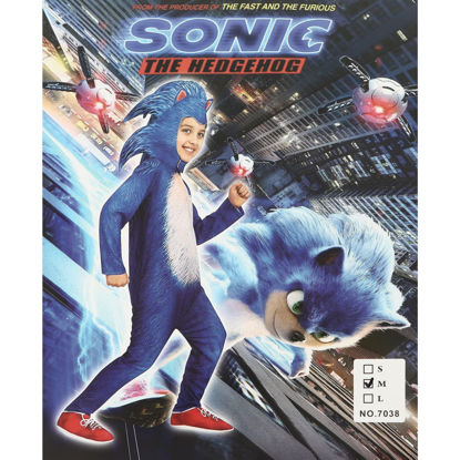 Image de DEGUISEMENT SONIC