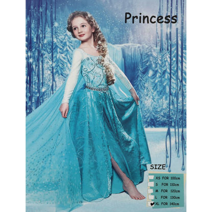 Image de DEGUISEMENT ELSA