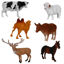 Image de ANIMALS