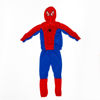 Image de DEGUISEMENT SPIDERMAN A14