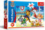 Image de puzzle 60 viacom paw patrol 17392