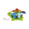 Image de Turtle Sort&Surprise