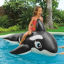 Image de GRANDE BALEINE GONFLABLE 193X119CM 58561
