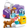 Image de DOG FEEDING