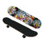 Image de SKATE BOARD NS803/24