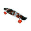 Image de SKATE BOARD NS805/24