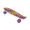 Image de SKATE BOARD NS805/24