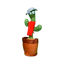Image de TOYS CACTUS