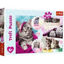 Image de PUZZLES  160  LOVELY KITTENS  15371