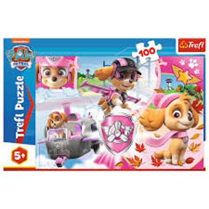 Image de PUZZLE 100 PAW PATROM 16368