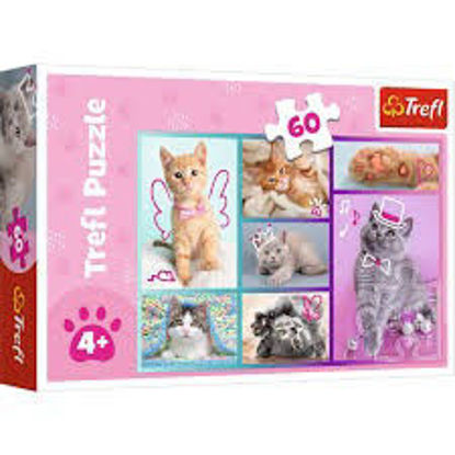 Image de PUZZLE 60 CUTE CATE 17373