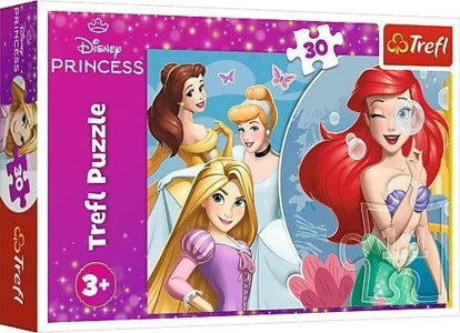 Image de PUZZLE 3D DISNEY  PRINCESS 18308