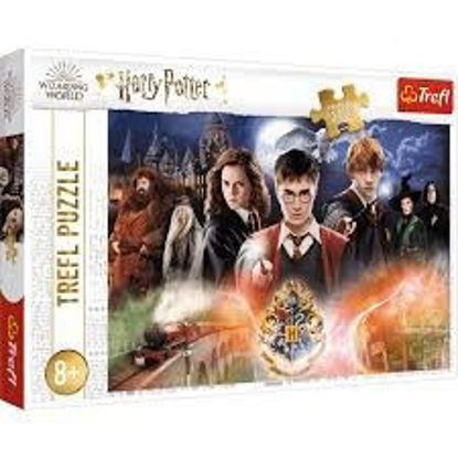 Image de Puzzles  300 The Secret Harry Potte