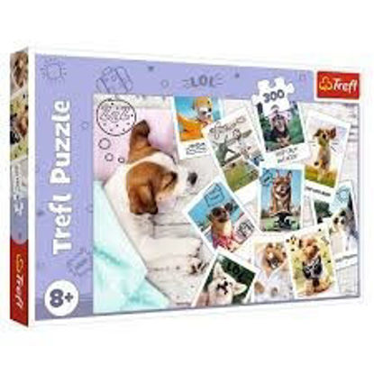 Image de PUZZLES 300 HOLIDAY PICTURES TREFL