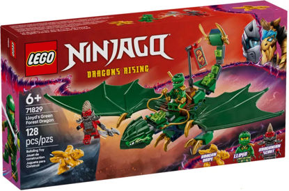 Image de LEGO LE DRAGON VERT DE LA FORET LIOD 71829