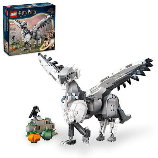 Image de HARRY POTTER BUCK 76427