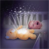 Image de Projecteur d'ours en peluche no:000825