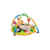 Image de TAPIS DEVEIL 000827NL