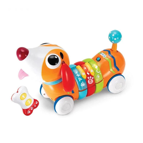 Image de Chiot arc-en-ciel R/C no:001142